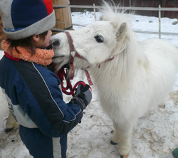Pony
